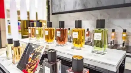 How to Start Perfume Oil Business with Zero Capital 19 How to Start Perfume Oil Business with Zero Capital