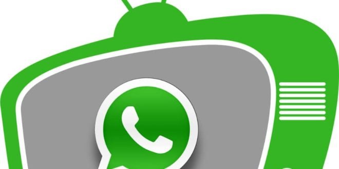 How to Make Money on WhatsApp TV (Status Views) 3 Whatsapp TV business