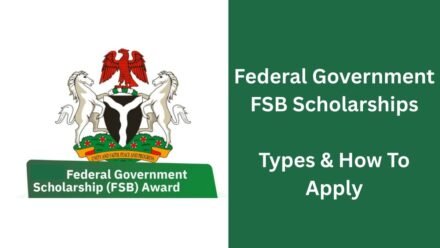 Federal Scholarship Board (FSB): Bilateral Education Agreement (BEA) Explained 17 Federal Scholarship Board (FSB): Bilateral Education Agreement (BEA) Explained