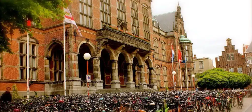 Netherlands Scholarships for Nigerian Students: Orange Tulip & Beyond (2026 Guide) 1 Netherlands scholarship for Nigerians