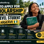 Scholarship Guide for Nigerian Freshers 1
